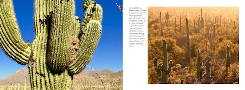 Sample content_FORESTS