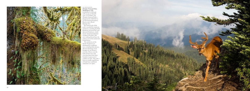 Sample content 3_FORESTS