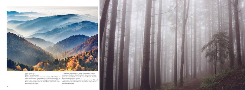 Sample content 4_FORESTS