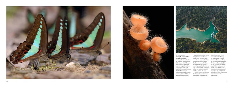 Sample content 5_FORESTS