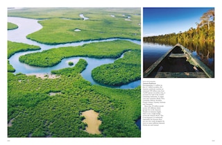Aper&ccedil;u du contenu_Forests