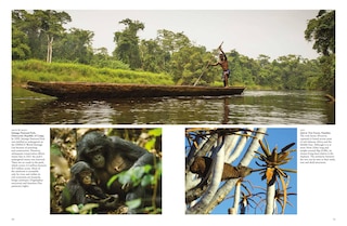 Aper&ccedil;u du contenu 4_Forests