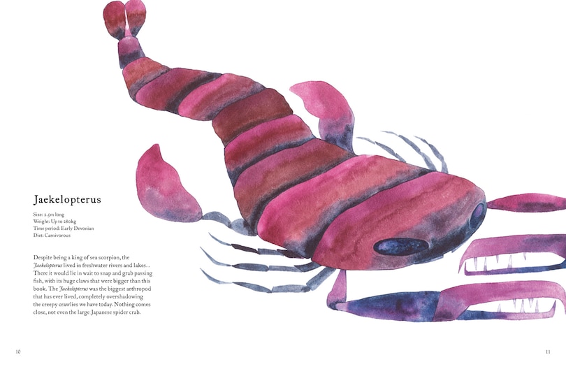 Sample content 2_Forgotten Beasts