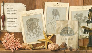 Aperçu du contenu 2_Fourteen Ways of Looking at Jellyfish