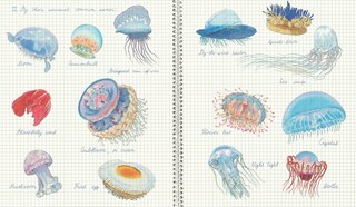 Aperçu du contenu 3_Fourteen Ways of Looking at Jellyfish