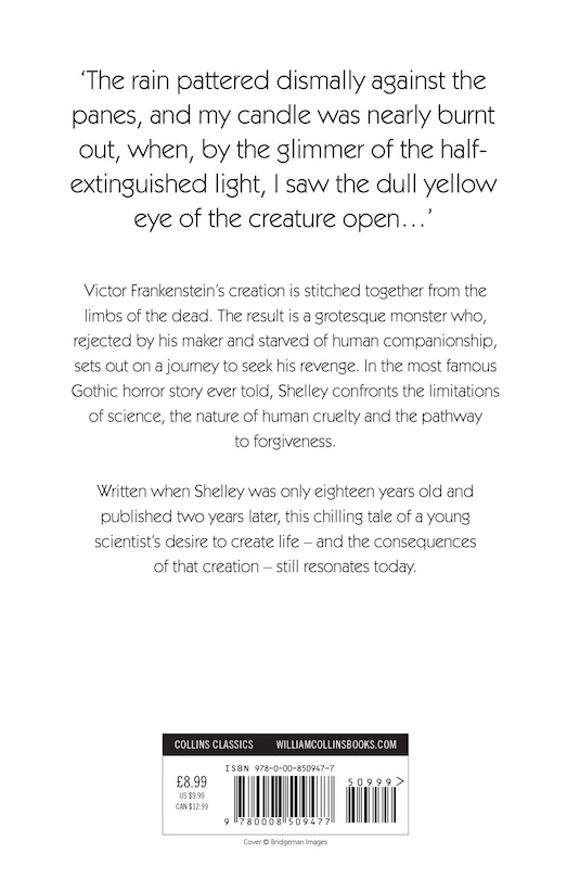 Back cover_Frankenstein