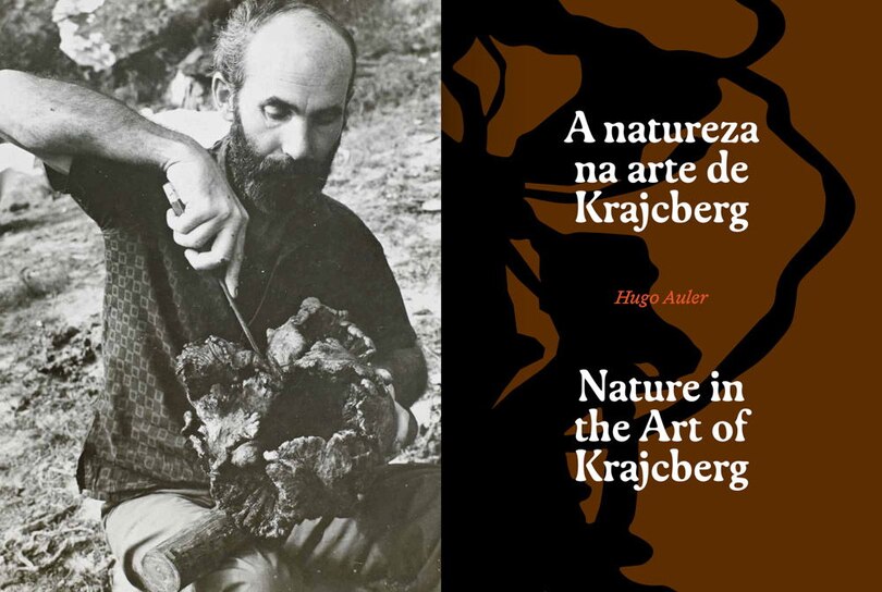 Aper&ccedil;u du contenu 2_Frans Krajcberg: Rediscovering the Tree