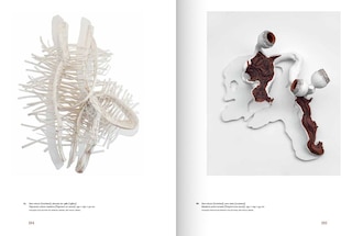 Aper&ccedil;u du contenu 3_Frans Krajcberg: Rediscovering the Tree