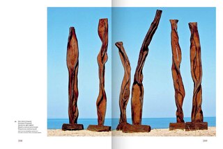 Aper&ccedil;u du contenu 4_Frans Krajcberg: Rediscovering the Tree