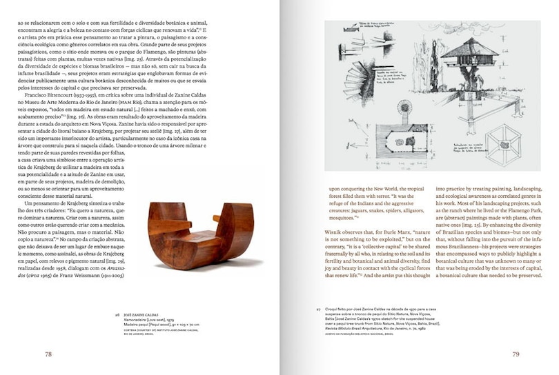 Aper&ccedil;u du contenu 5_Frans Krajcberg: Rediscovering the Tree