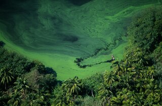 Aper&ccedil;u du contenu 2_Freshwater