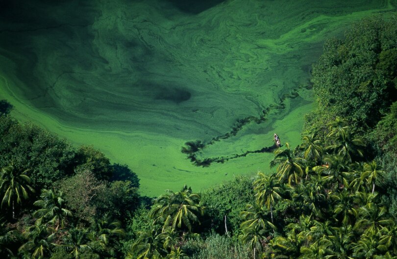 Aper&ccedil;u du contenu 2_Freshwater