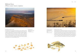 Aper&ccedil;u du contenu 4_Freshwater