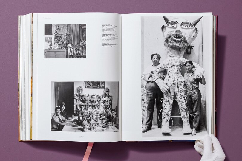 Sample content 3_Frida Kahlo. Toute l'&oelig;uvre peinte