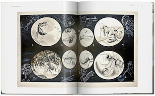 Sample content_Fritz Kahn. Infographics Pioneer