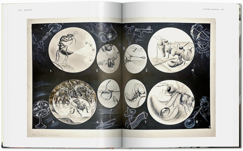 Sample content_Fritz Kahn. Infographics Pioneer