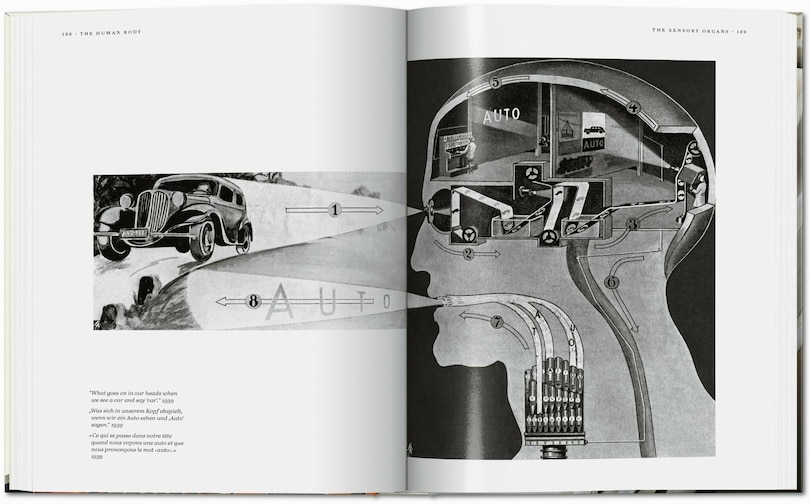 Sample content 3_Fritz Kahn. Infographics Pioneer