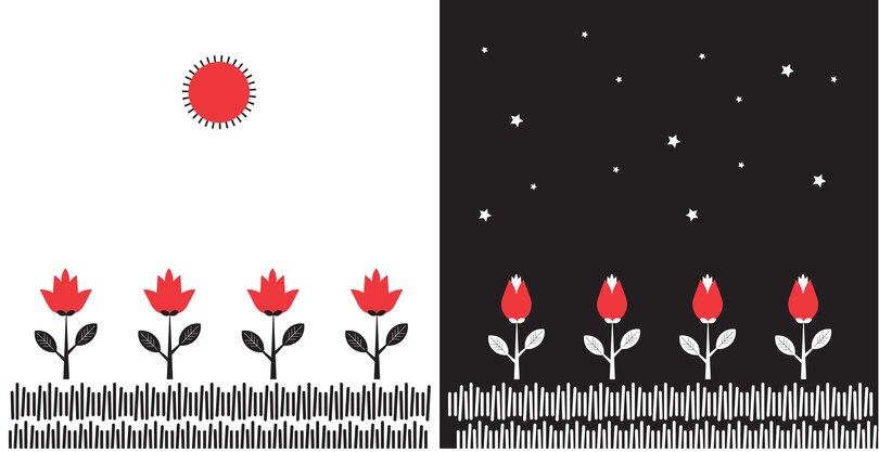 Aper&ccedil;u du contenu 2_From Day to Night