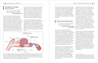 Sample content 2_Functional Anatomy of Movement