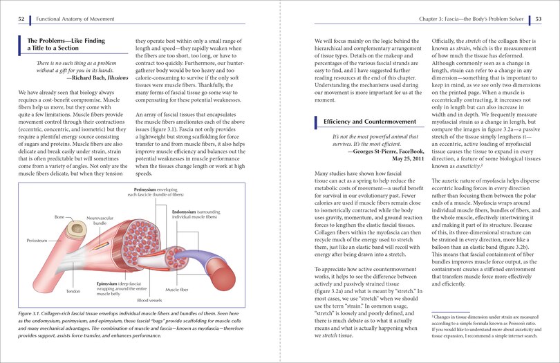 Sample content 2_Functional Anatomy of Movement