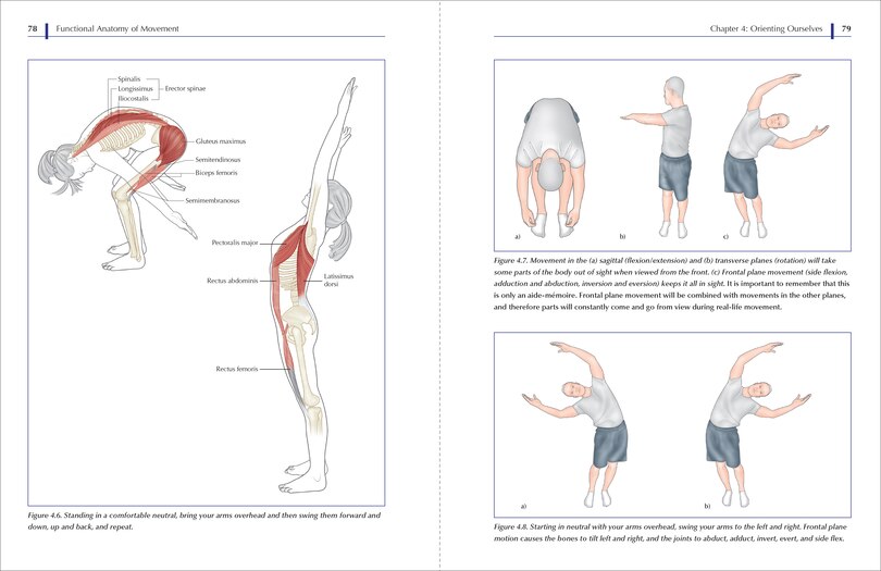 Sample content 3_Functional Anatomy of Movement