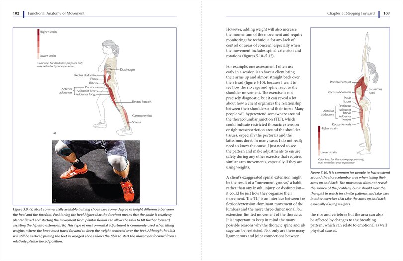 Sample content 4_Functional Anatomy of Movement