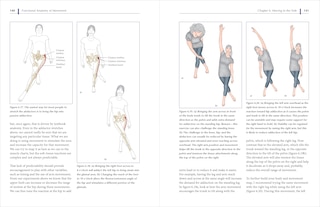 Sample content 5_Functional Anatomy of Movement