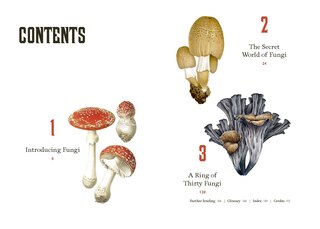 Sample content_Fungi Decoded