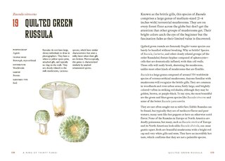 Sample content 2_Fungi Decoded