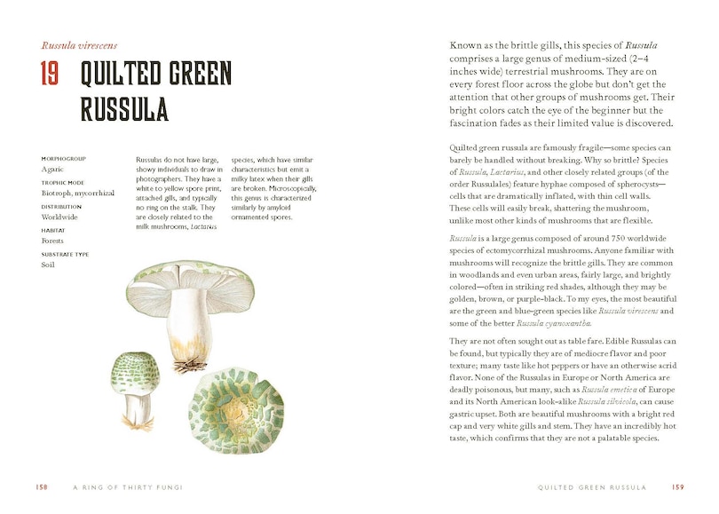 Sample content 2_Fungi Decoded