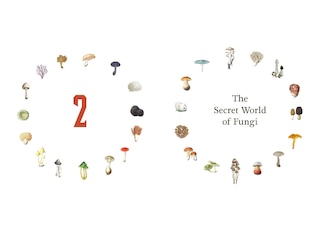 Sample content 4_Fungi Decoded
