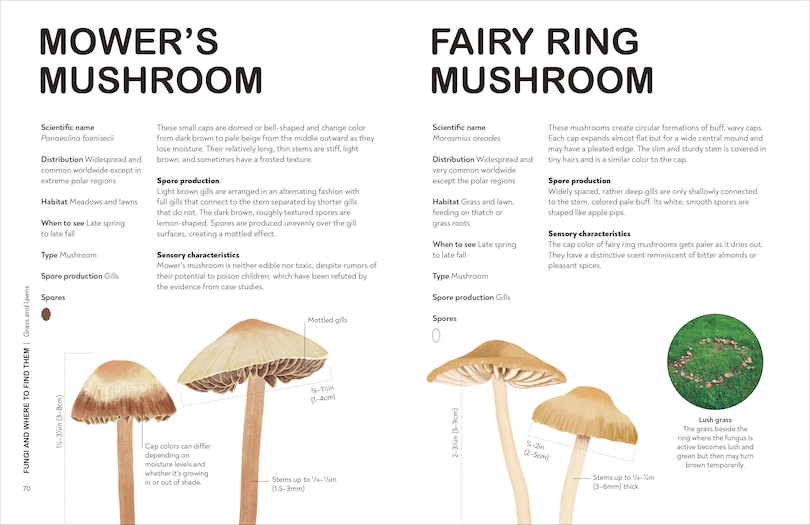 Sample content 2_Fungi for Gardeners