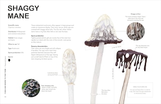 Sample content 3_Fungi for Gardeners