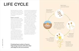 Sample content 4_Fungi for Gardeners