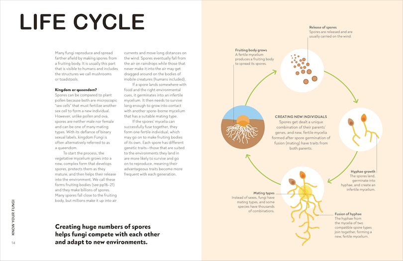 Sample content 4_Fungi for Gardeners
