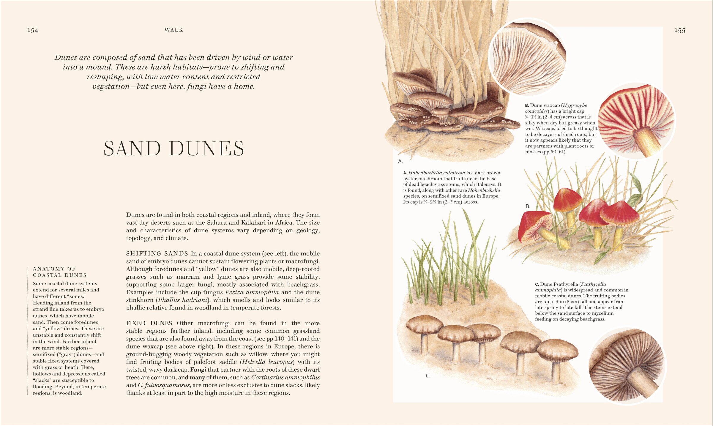 Fungi: Discover The Science And Secrets Behind The World Of
