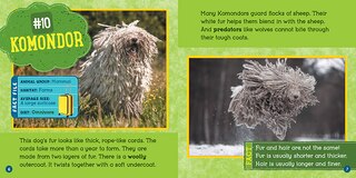 Sample content 2_Furriest Animals (Wild World: Top 10)
