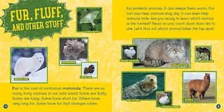Aperçu du contenu 3_Furriest Animals (Wild World: Top 10)