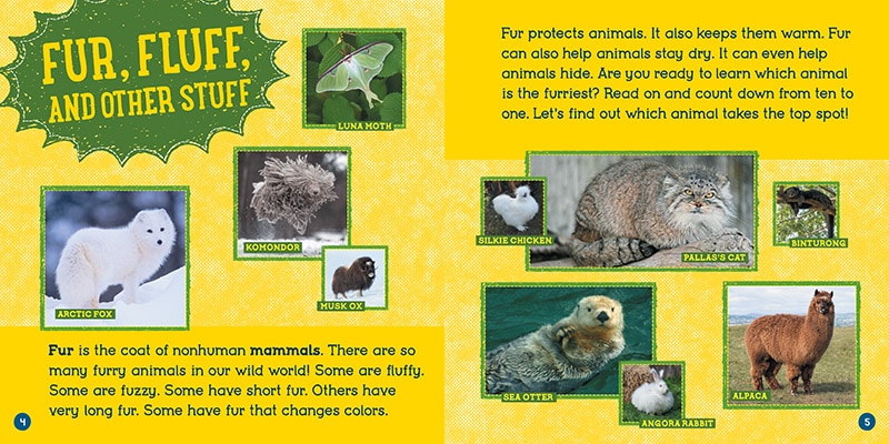 Aperçu du contenu 3_Furriest Animals (Wild World: Top 10)