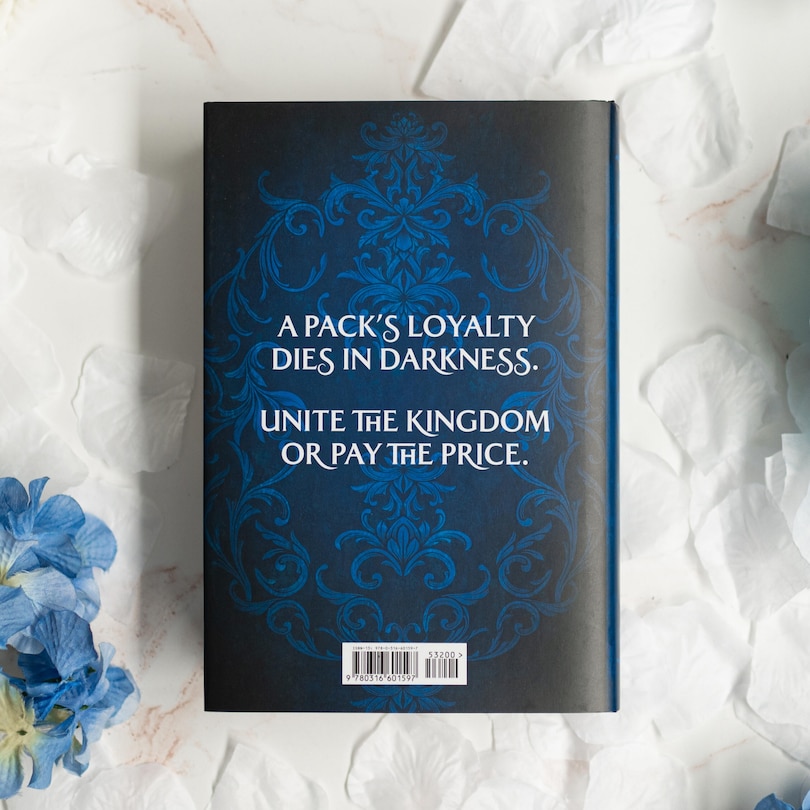 Aper&ccedil;u du contenu 2_Fury Bound (Standard Edition)