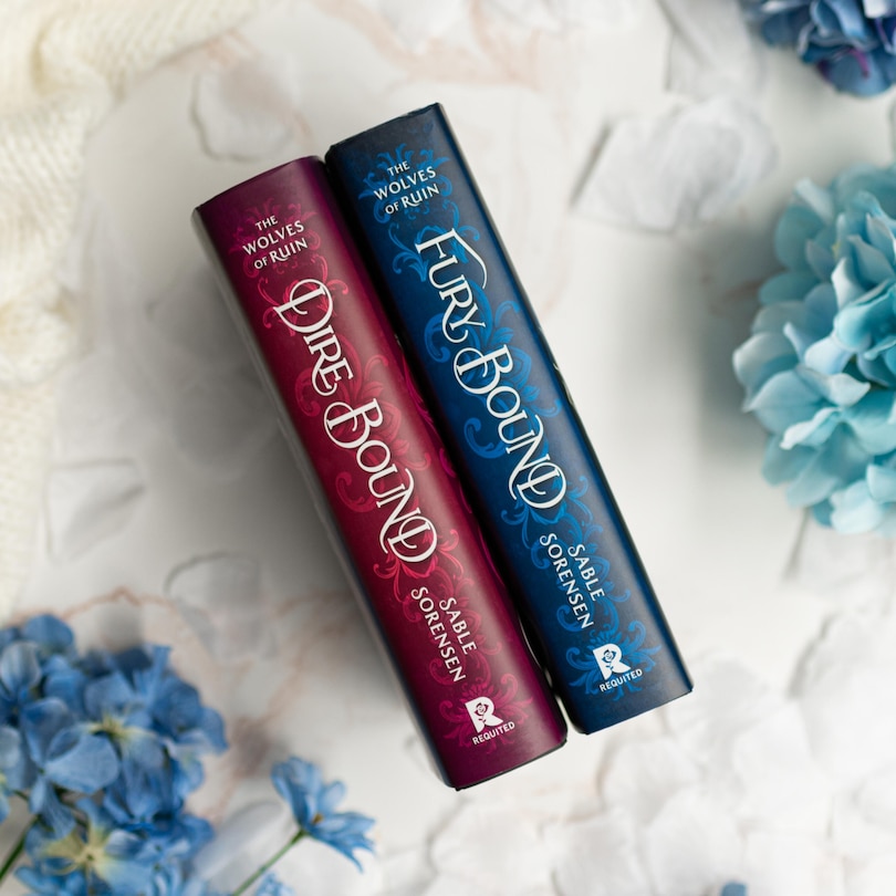 Aper&ccedil;u du contenu 3_Fury Bound (Standard Edition)