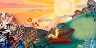 Sample content 2_Fussy Fusserpants