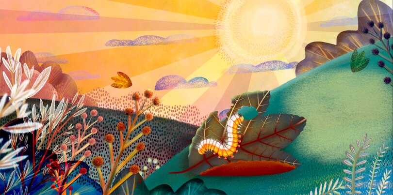 Sample content 2_Fussy Fusserpants