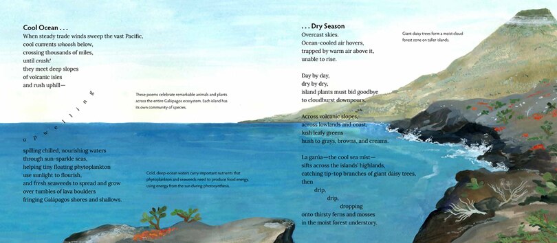 Aper&ccedil;u du contenu 2_Gal&aacute;pagos