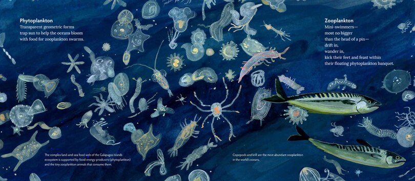 Aper&ccedil;u du contenu 3_Gal&aacute;pagos