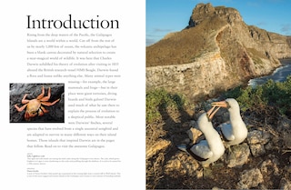 Sample content 3_GALAPAGOS ISLANDS