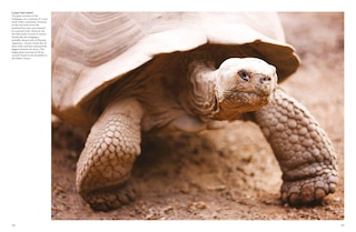 Sample content 4_GALAPAGOS ISLANDS