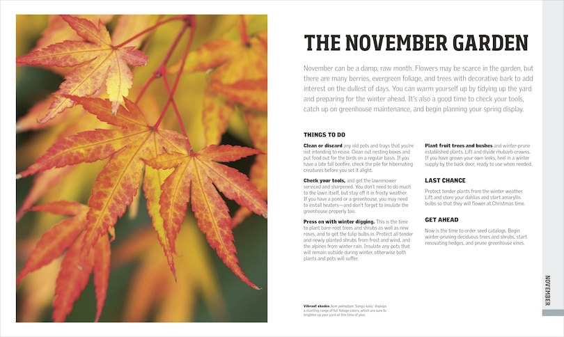 Sample content_Gardening Through the Year