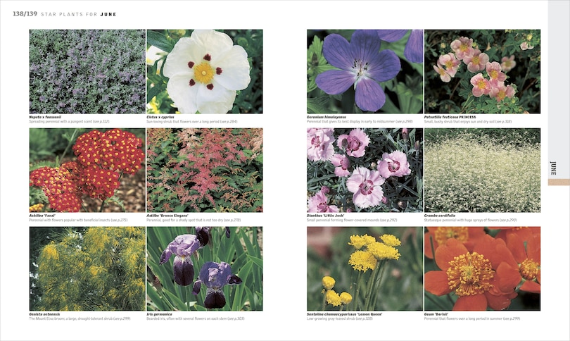 Sample content 3_Gardening Through the Year