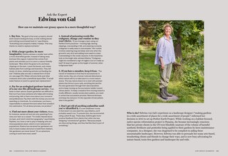 Sample content_Gardenista: The Low-Impact Garden